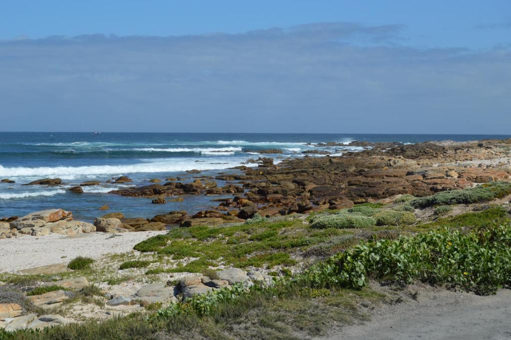 Thatchwood Country Lodge St Francis Bay Exterior photo